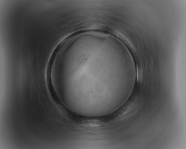X0000093510483200710121534