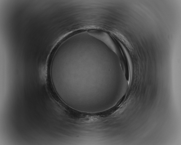 X0000093510484200710121534
