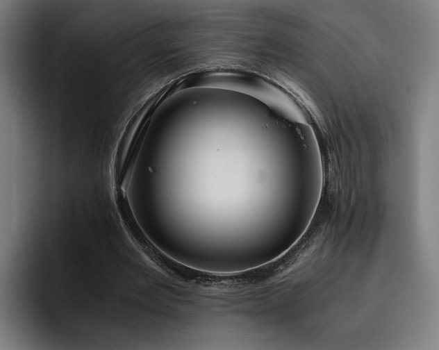 X0000093510485200710121534