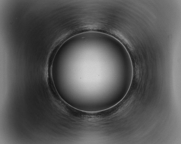 X0000093510486200710121534