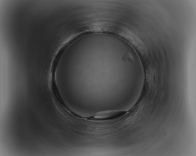 X0000093510488200710121534
