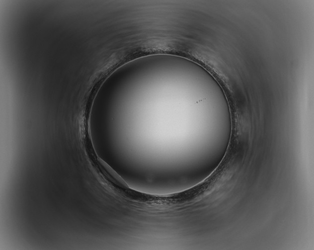 X0000093510489200710121534
