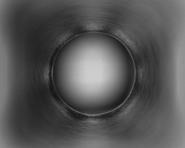 X0000093510490200710121534