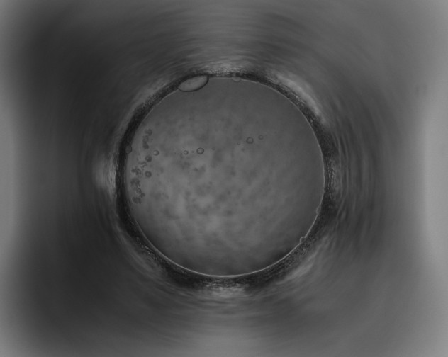 X0000093510491200710121534