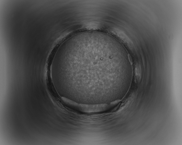 X0000093510492200710121534