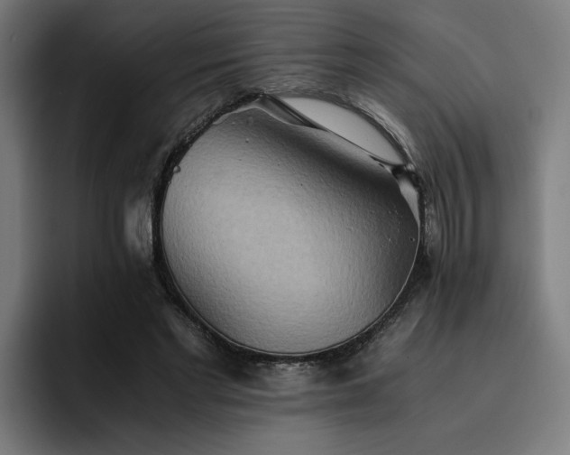 X0000093510493200710121534