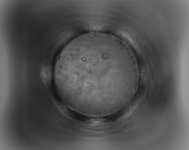 X0000093510495200710121534