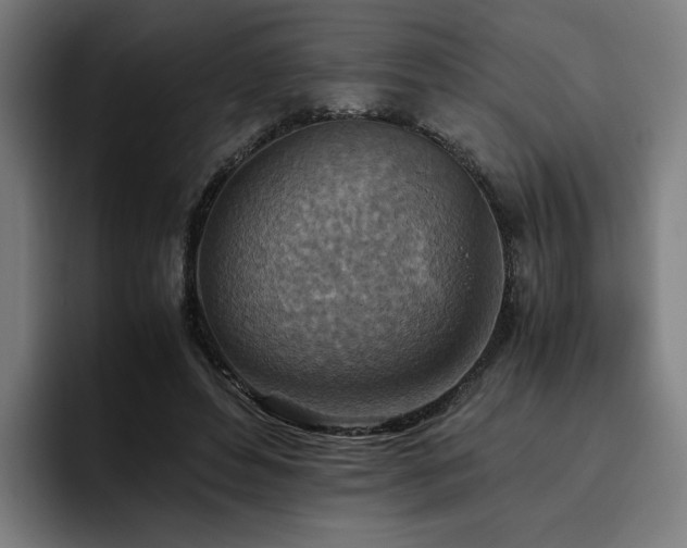 X0000093510496200710121534