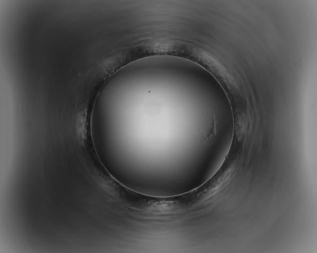 X0000093510497200710121534