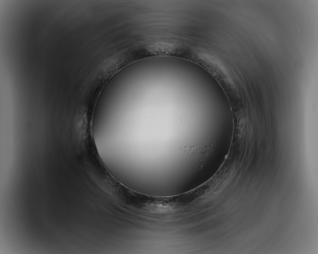 X0000093510498200710121534