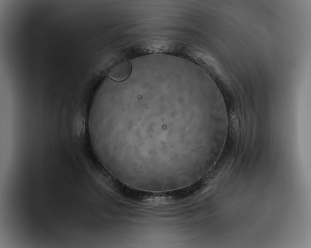X0000093510499200710121534
