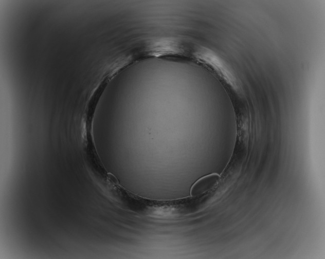 X0000093510500200710121534
