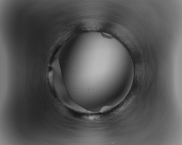 X0000093510501200710121534