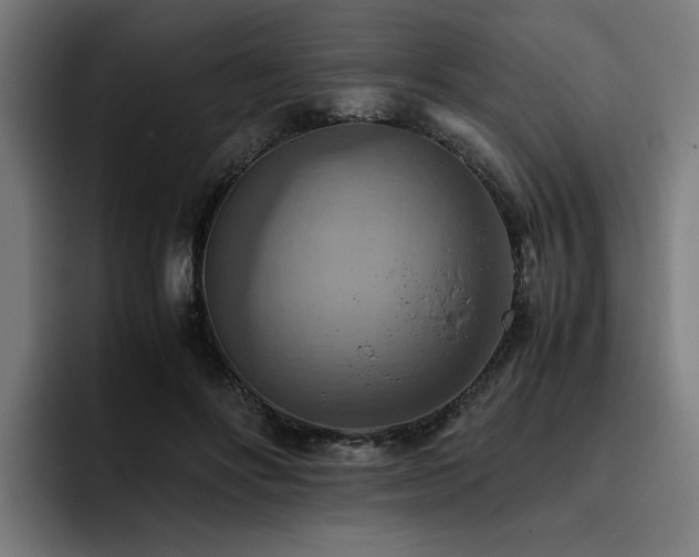 X0000093510502200710121534