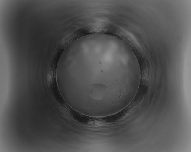 X0000093510503200710121534