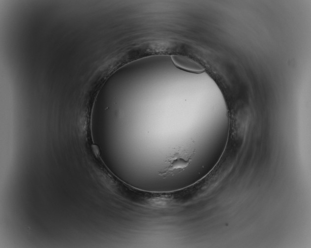 X0000093510505200710121534