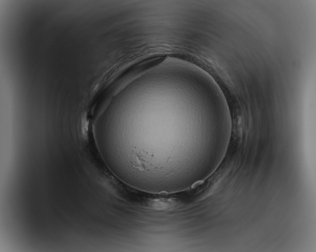 X0000093510508200710121534