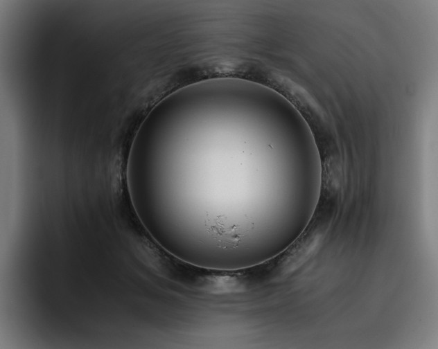 X0000093510509200710121534