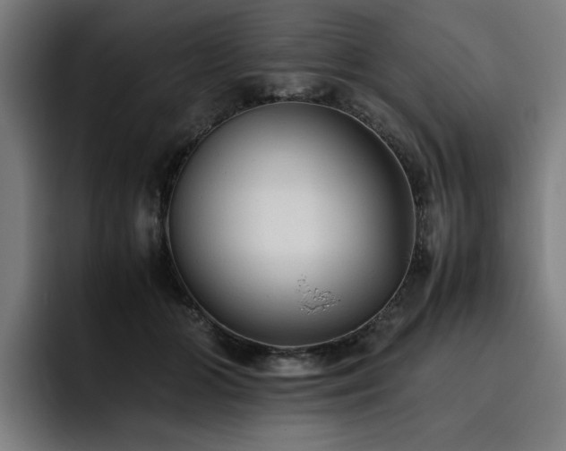 X0000093510510200710121534