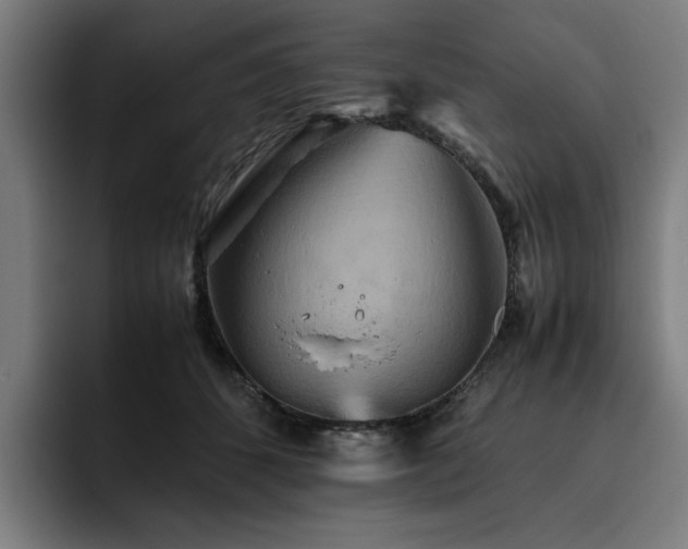 X0000093510512200710121534