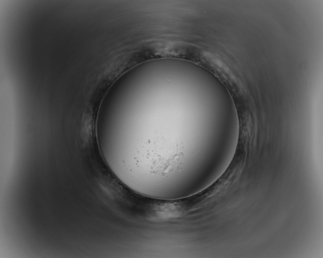 X0000093510513200710121534