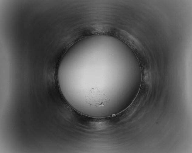 X0000093510514200710121534