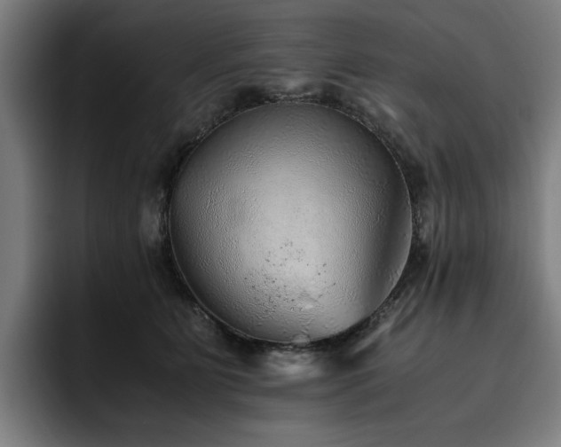 X0000093510515200710121534