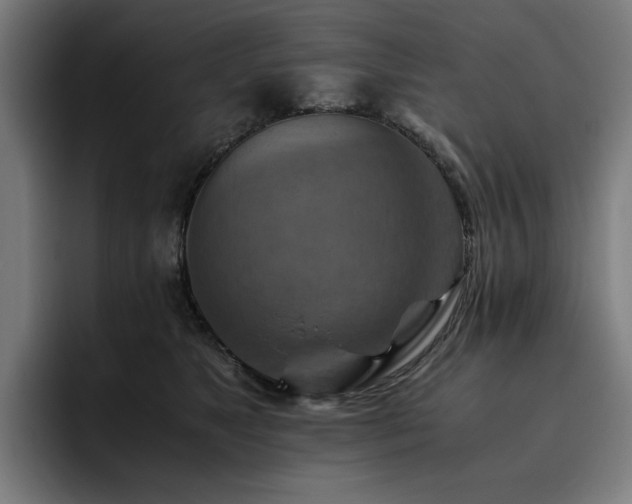 X0000093510517200710121534