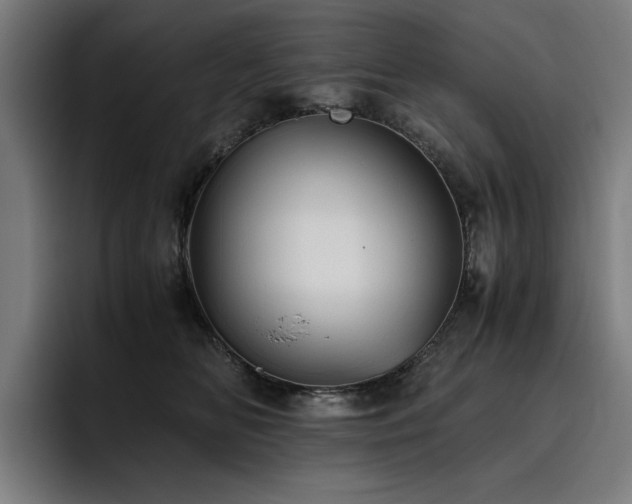 X0000093510518200710121534