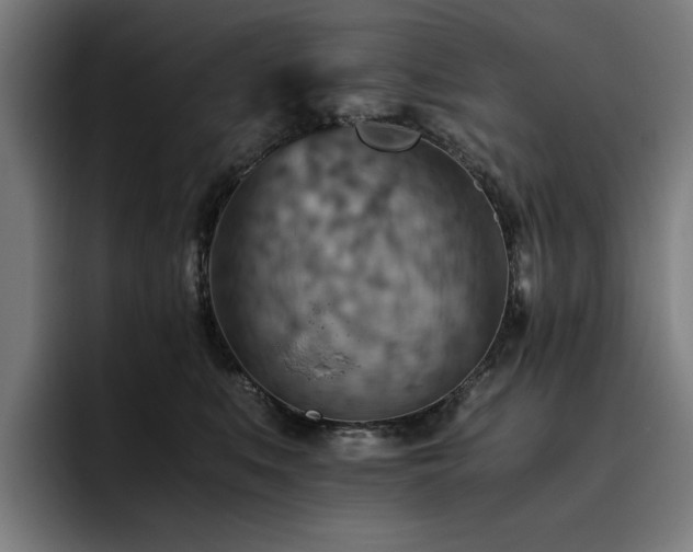 X0000093510519200710121534
