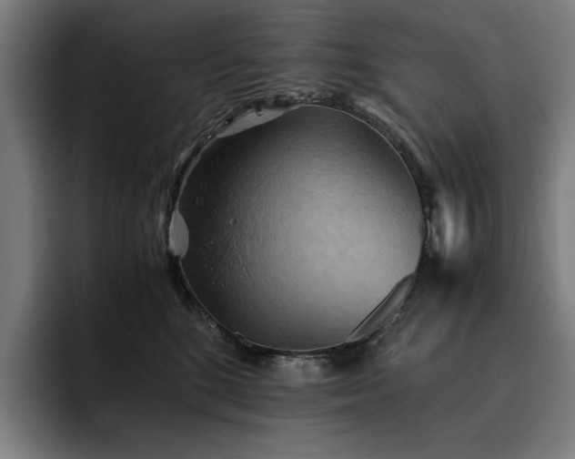 X0000093510520200710121534