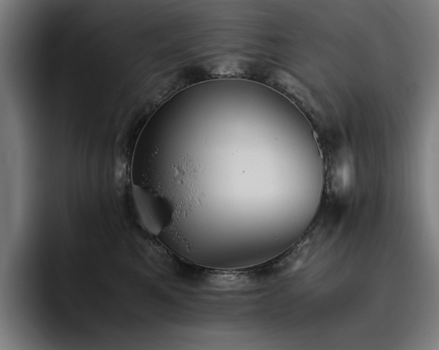 X0000093510521200710121534