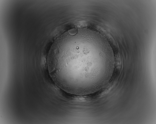X0000093510523200710121534