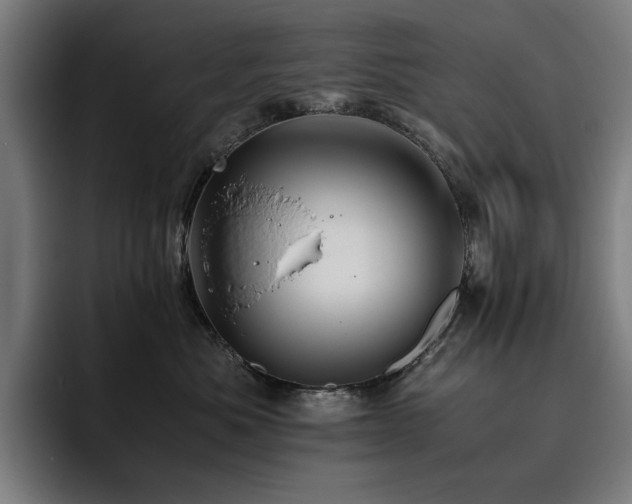 X0000093510525200710121534