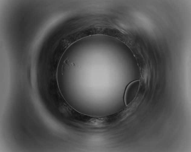 X0000093510526200710121534