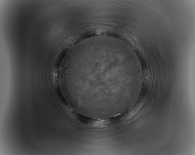 X0000093510527200710121534