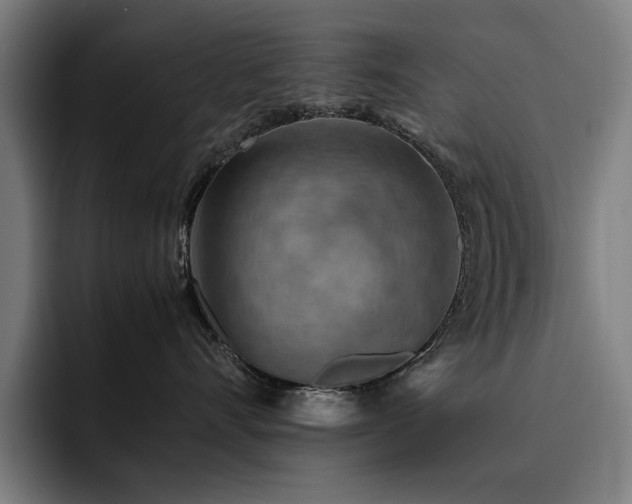 X0000093510528200710121534