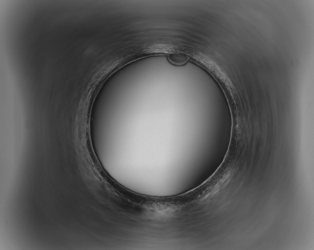 X0000093510529200710121533