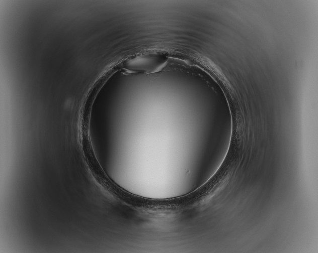 X0000093510530200710121533