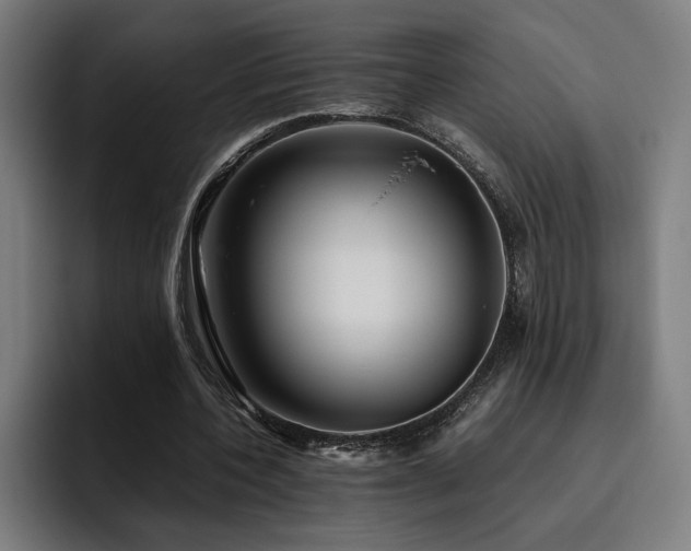 X0000093510532200710121533