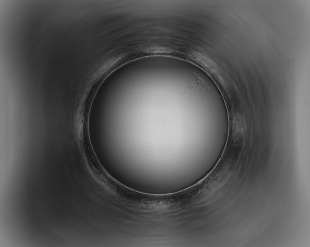 X0000093510533200710121533