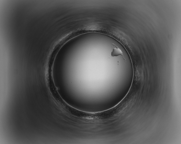 X0000093510535200710121533