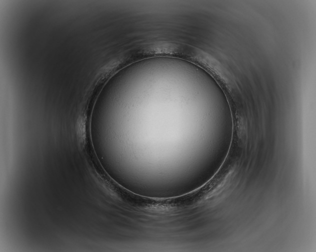 X0000093510537200710121533