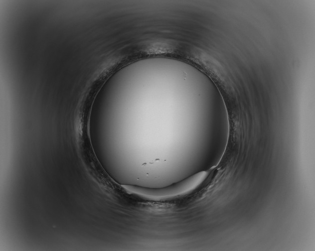 X0000093510539200710121533