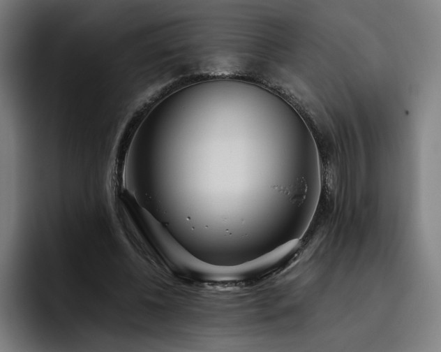 X0000093510540200710121533