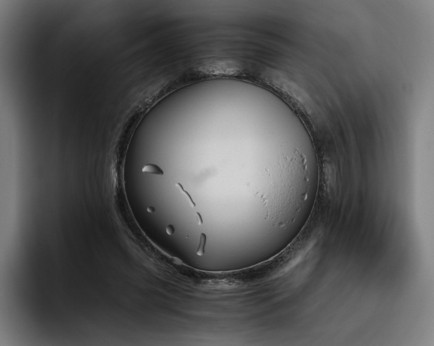X0000093510541200710121533