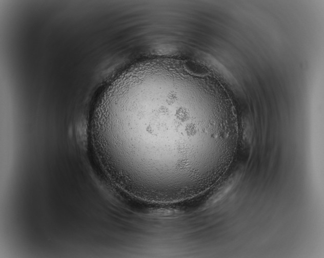 X0000093510542200710121533
