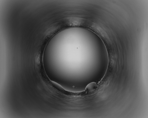 X0000093510543200710121533