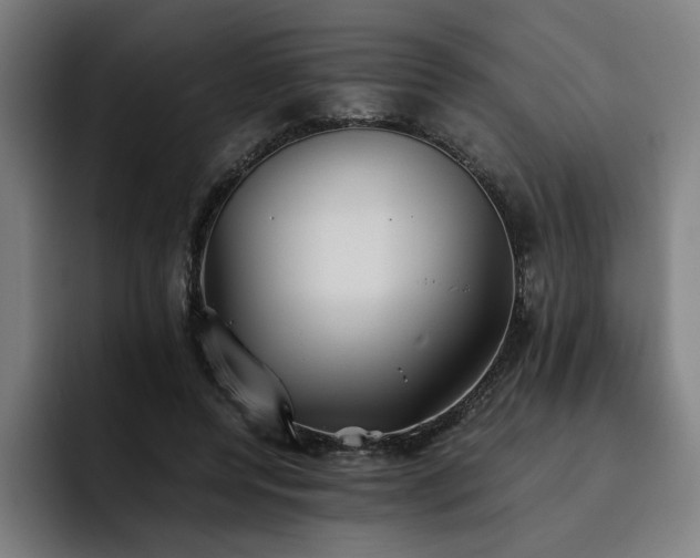 X0000093510544200710121533