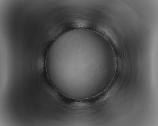 X0000093510545200710121533